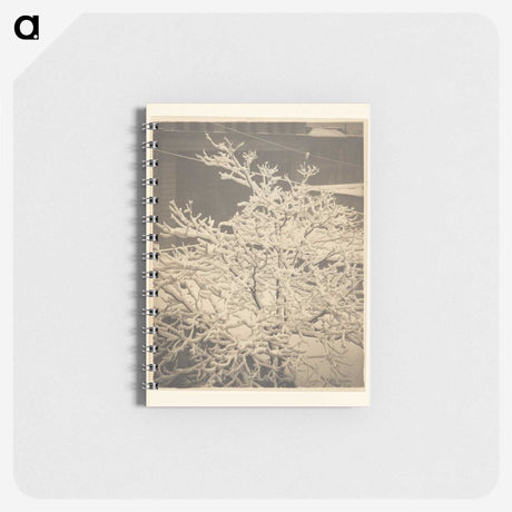 3-26_Alfred-Stieglitz_memo
