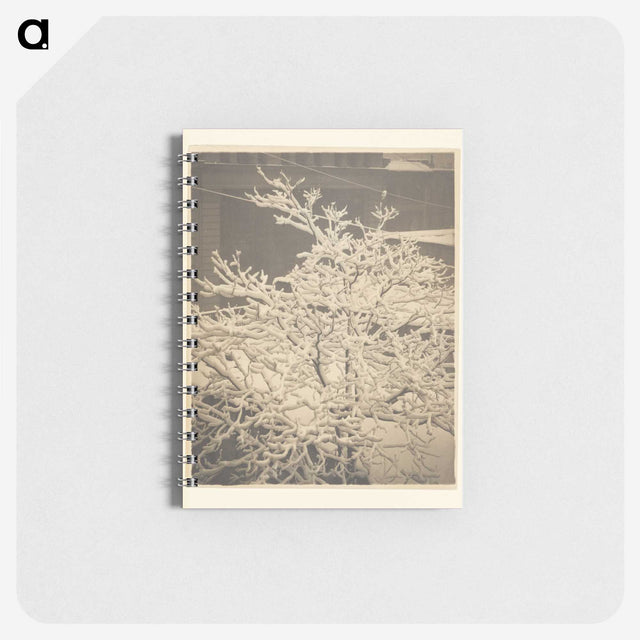 3-26_Alfred-Stieglitz_memo