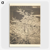 3-26_Alfred-Stieglitz_picture-crop