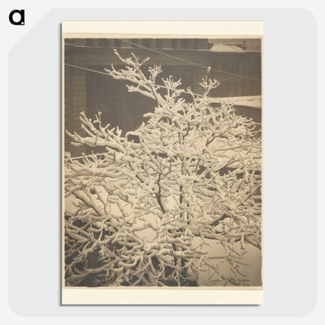 3-26_Alfred-Stieglitz_picture-crop
