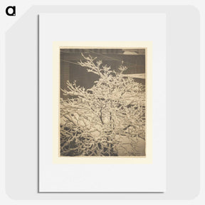3-26_Alfred-Stieglitz_picture