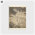 3-26_Alfred-Stieglitz_postcard