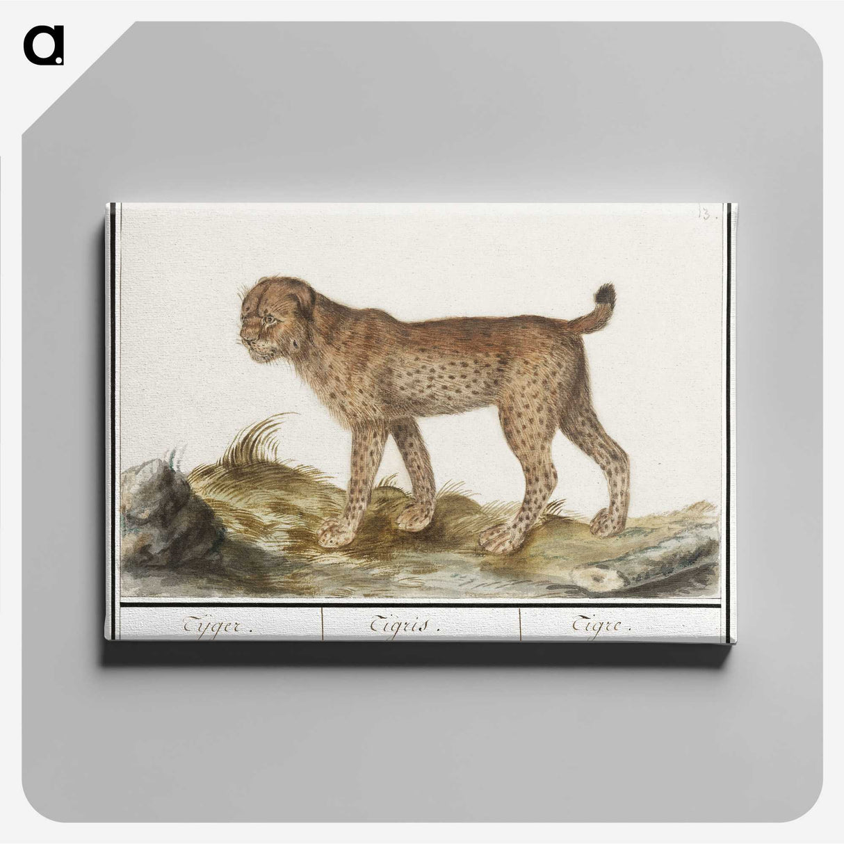 3-26_Anselmus-Boetius-de-Boodt_canvas