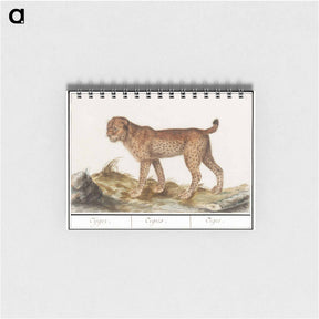アートメモ帳-Lynx - アンセルムス ボエティウス デ ブート Memo.