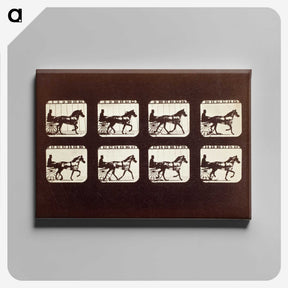 3-26_Eadweard-Muybridge_canvas