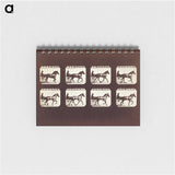 3-26_Eadweard-Muybridge_memo