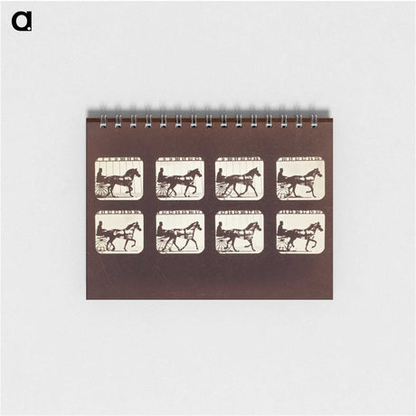 3-26_Eadweard-Muybridge_memo