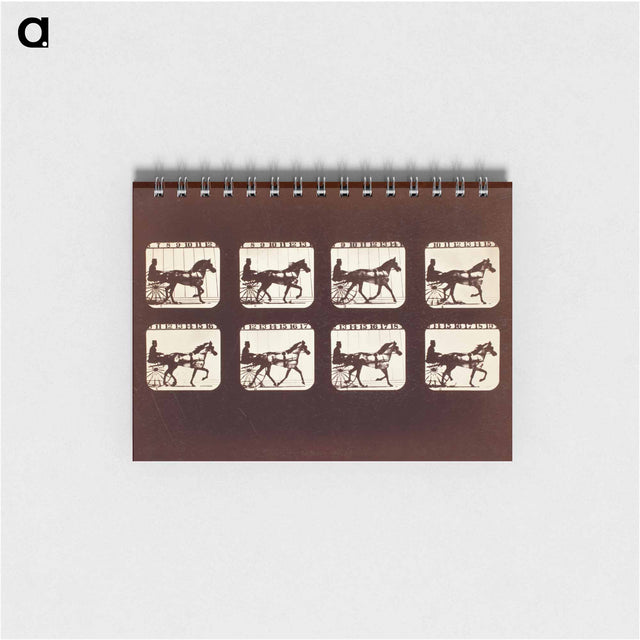 アートメモ帳-Animal Locomotion (Man In Horse-Drawn Cart)
 - エドワード マイブリッジ Memo.