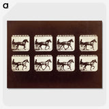 3-26_Eadweard-Muybridge_picture-crop