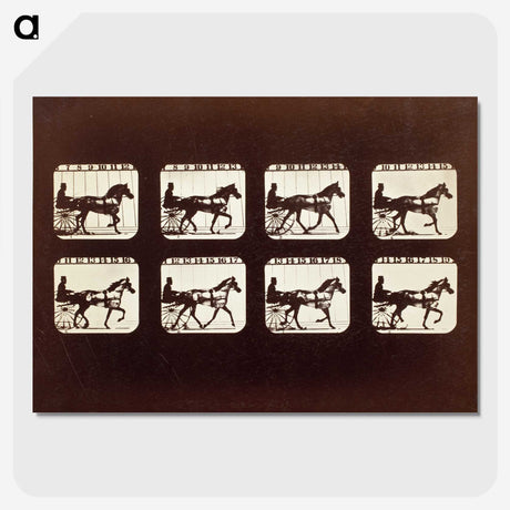 3-26_Eadweard-Muybridge_picture-crop