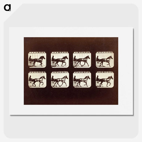 3-26_Eadweard-Muybridge_picture