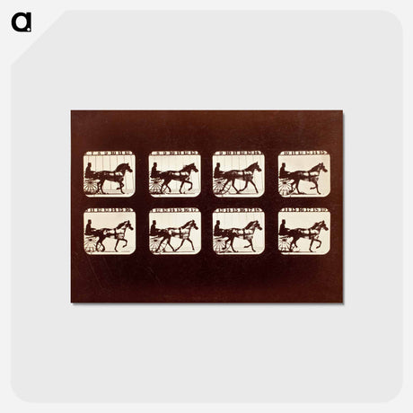 アートポストカード-Animal Locomotion (Man In Horse-Drawn Cart)
 - エドワード マイブリッジ Postcard.