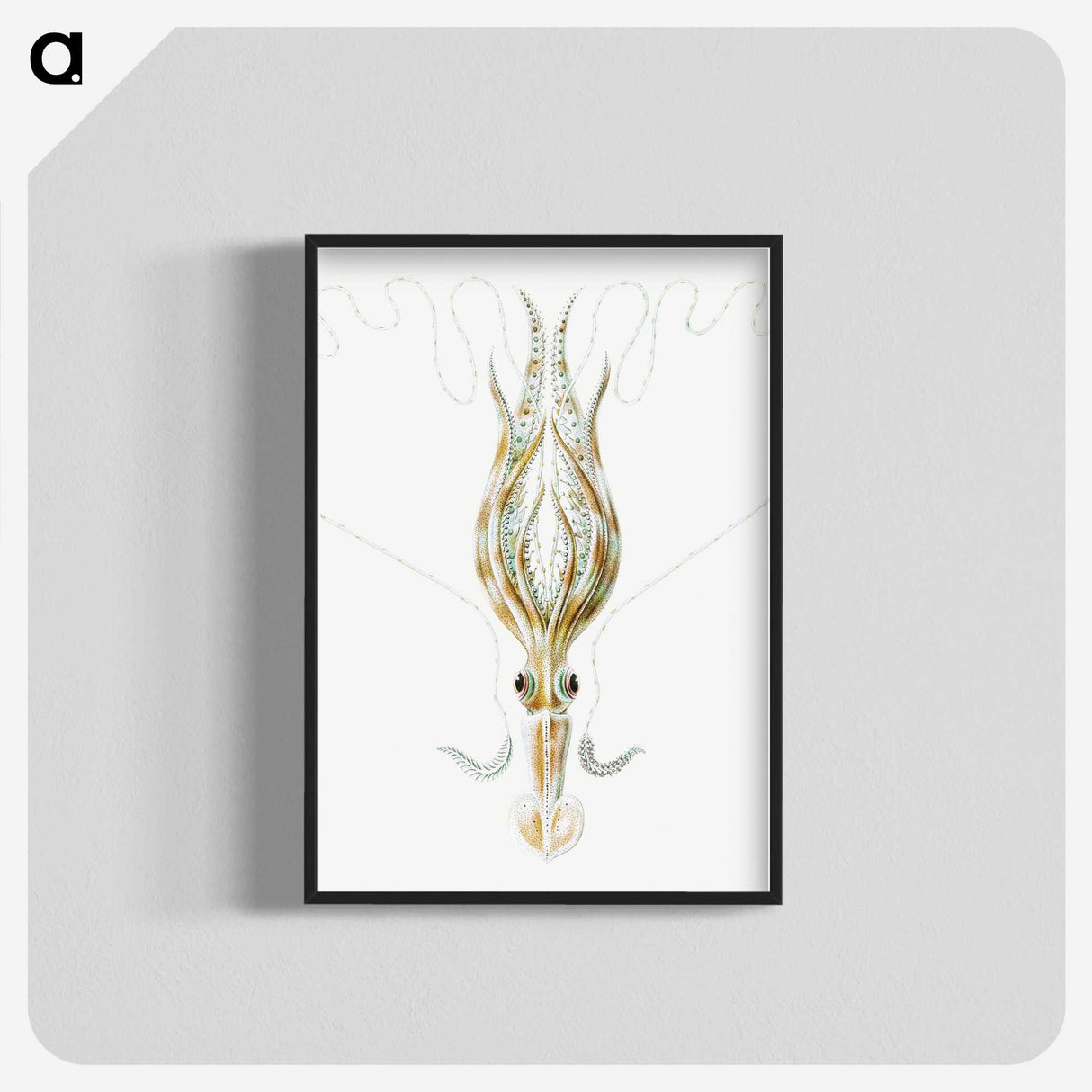 3-26_Ernst-Haeckel_blk-crop