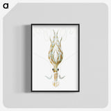 3-26_Ernst-Haeckel_blk-crop