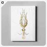 3-26_Ernst-Haeckel_canvas