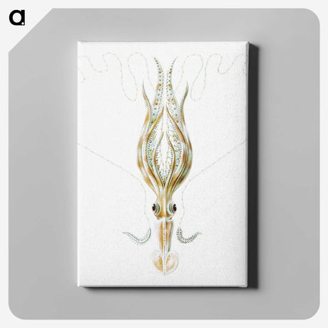 3-26_Ernst-Haeckel_canvas