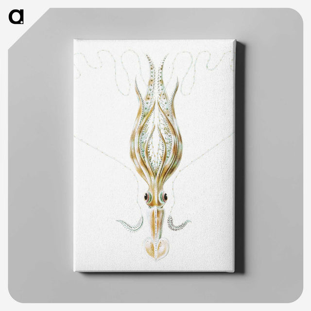 3-26_Ernst-Haeckel_canvas