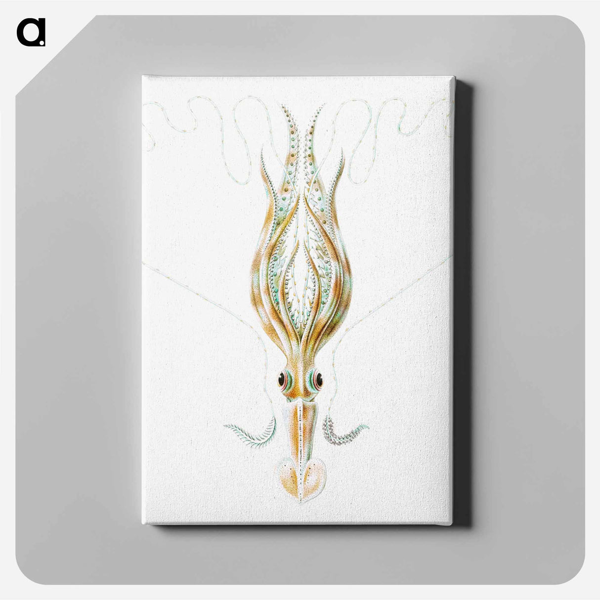 Vintage squid marine life illustration - エルンスト ヘッケル Canvas.