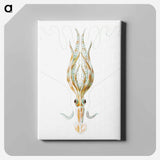 Vintage squid marine life illustration - エルンスト ヘッケル Canvas.