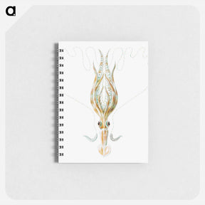 アートメモ帳-Vintage squid marine life illustration - エルンスト ヘッケル Memo.