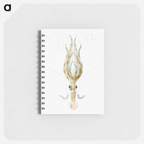 アートメモ帳-Vintage squid marine life illustration - エルンスト ヘッケル Memo.