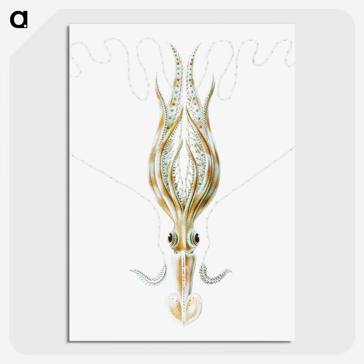 3-26_Ernst-Haeckel_picture-crop