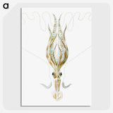 3-26_Ernst-Haeckel_picture-crop
