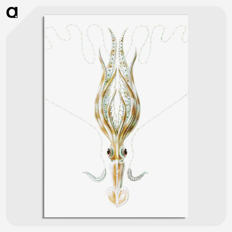 3-26_Ernst-Haeckel_picture-crop