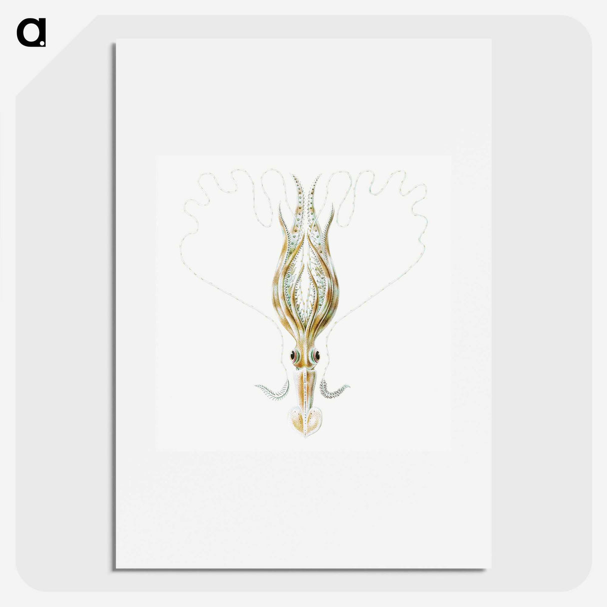 3-26_Ernst-Haeckel_picture
