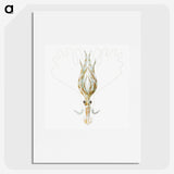 3-26_Ernst-Haeckel_picture