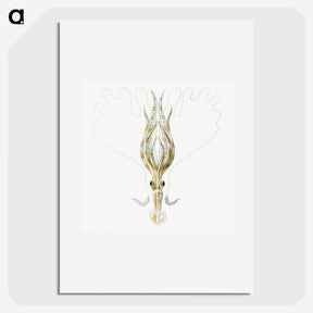 3-26_Ernst-Haeckel_picture