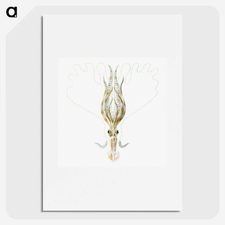 3-26_Ernst-Haeckel_picture