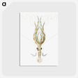 3-26_Ernst-Haeckel_postcard