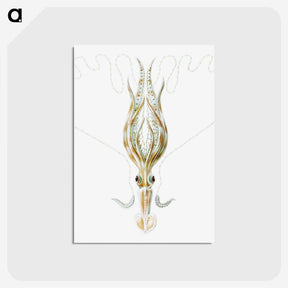 3-26_Ernst-Haeckel_postcard