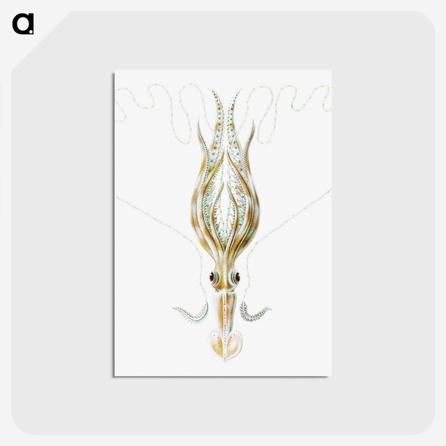 3-26_Ernst-Haeckel_postcard