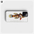 3-26_Ichtyologie-ou-Histoire-naturelle_phone