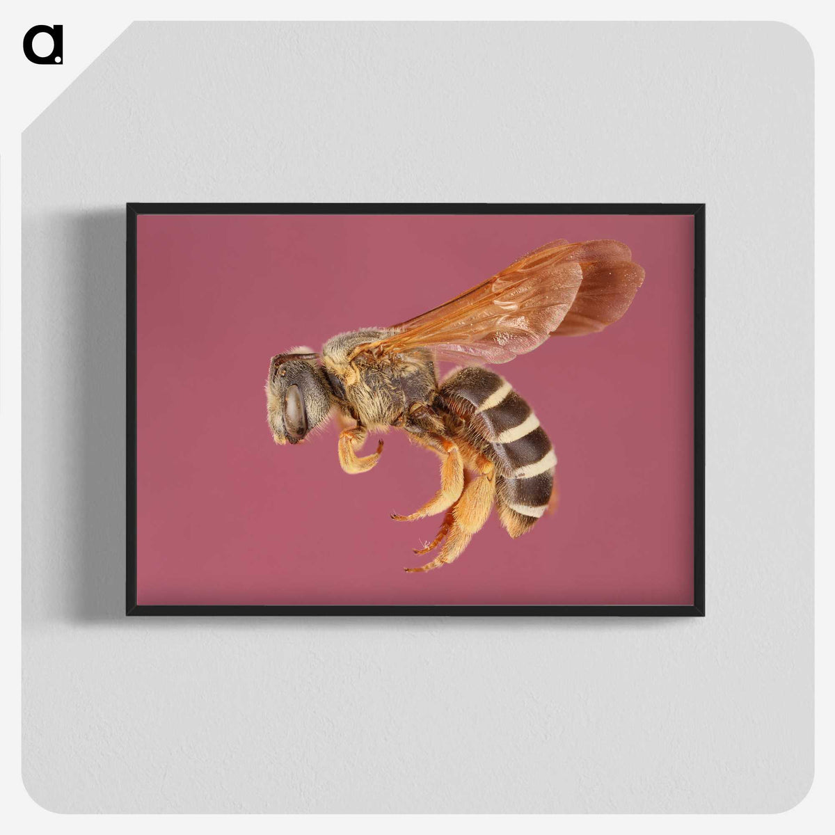 3-26_Insects-Unlocked-Project_blk-crop