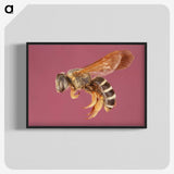 3-26_Insects-Unlocked-Project_blk-crop