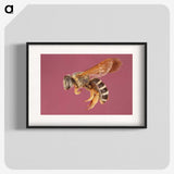 3-26_Insects-Unlocked-Project_blk