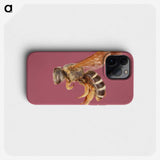 3-26_Insects-Unlocked-Project_phone