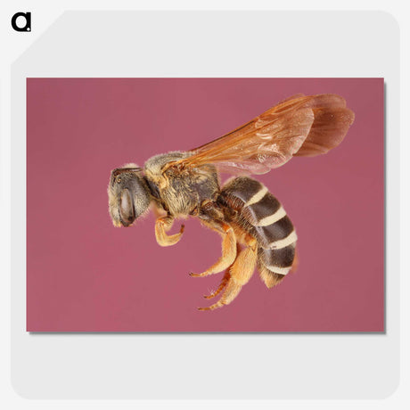 3-26_Insects-Unlocked-Project_picture-crop