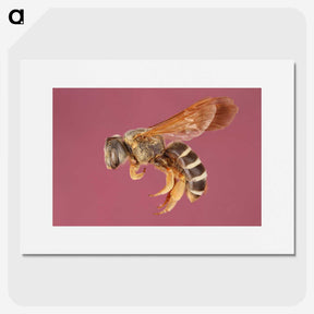 3-26_Insects-Unlocked-Project_picture