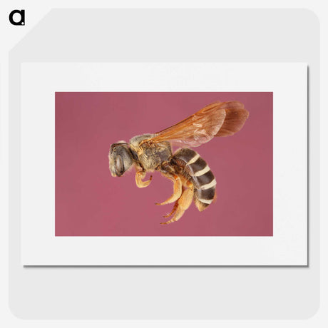 3-26_Insects-Unlocked-Project_picture