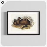 3-26_John-Gould_blk