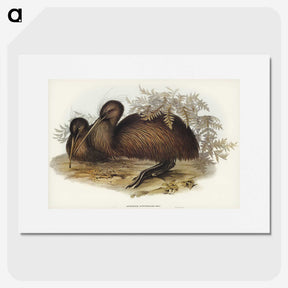 3-26_John-Gould_picture