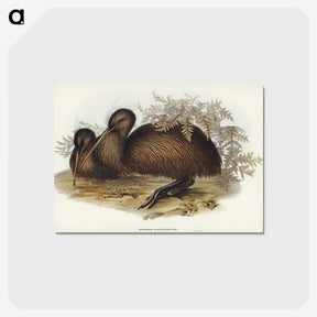 3-26_John-Gould_postcard