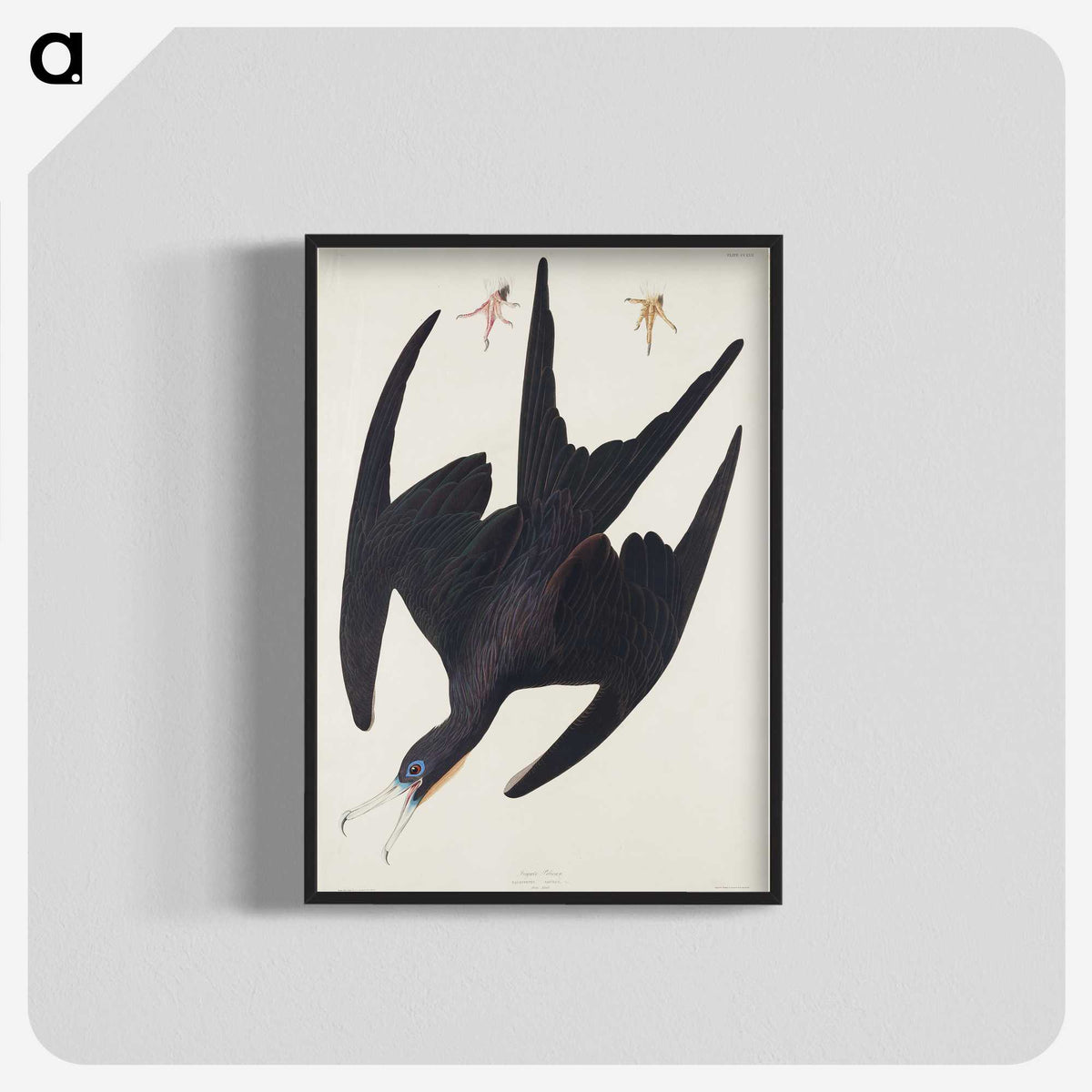 3-26_John-James-Audubon_blk-crop