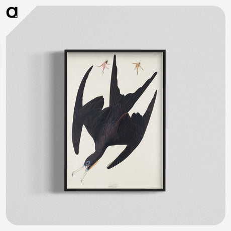 3-26_John-James-Audubon_blk-crop