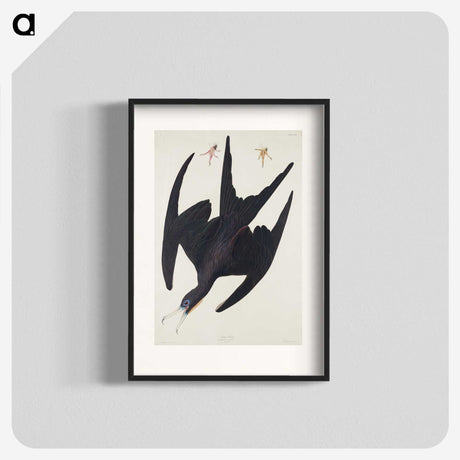 3-26_John-James-Audubon_blk