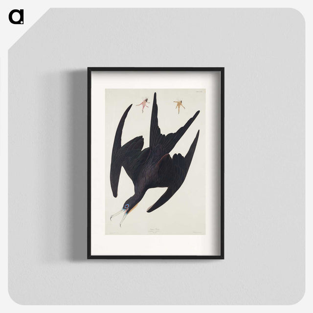 3-26_John-James-Audubon_blk